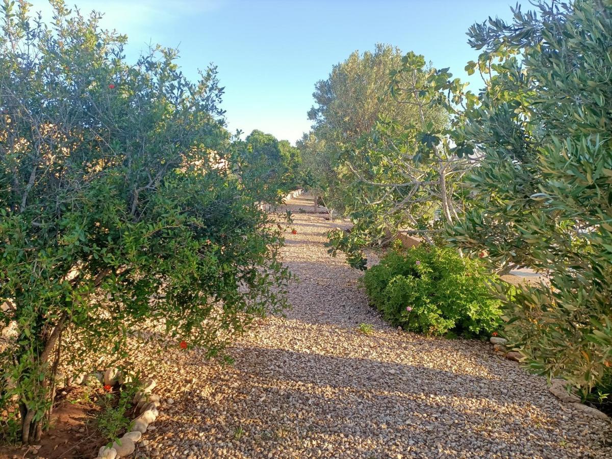 Dar Albatros Guest House Sidi Kaouki Eksteriør bilde