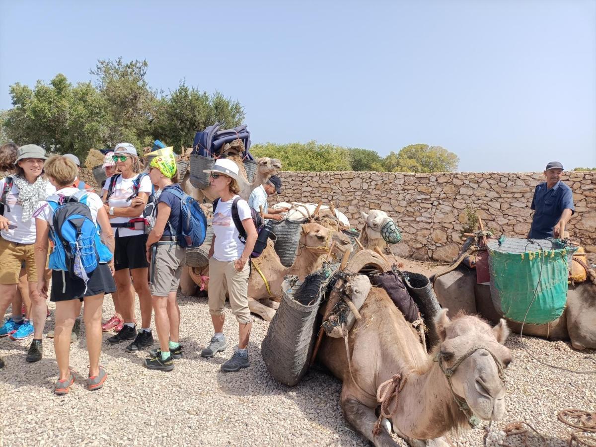Dar Albatros Guest House Sidi Kaouki Eksteriør bilde