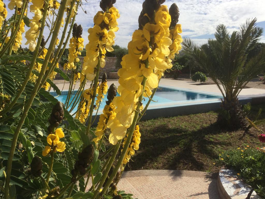 Dar Albatros Guest House Sidi Kaouki Eksteriør bilde