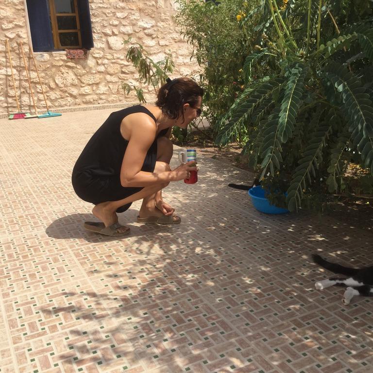 Dar Albatros Guest House Sidi Kaouki Eksteriør bilde
