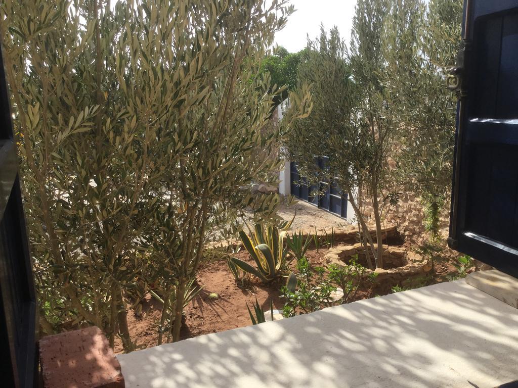 Dar Albatros Guest House Sidi Kaouki Eksteriør bilde